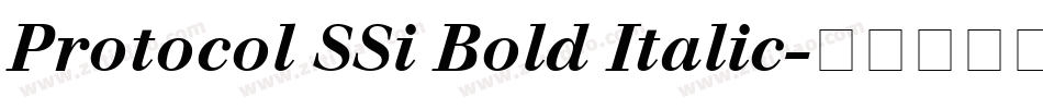 Protocol SSi Bold Italic字体转换